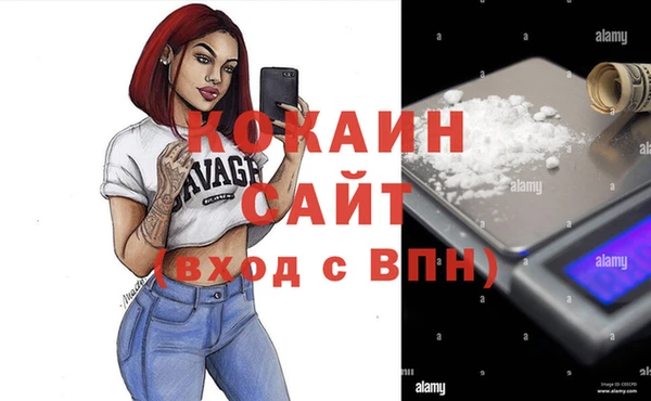 дмт Дмитров