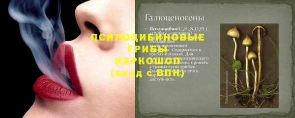 ешки Гусиноозёрск