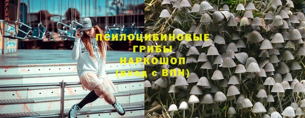 альфа пвп Гусев