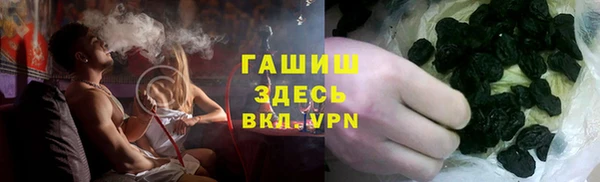 дмт Дмитров