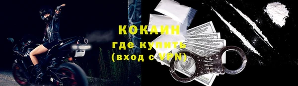 альфа пвп Гусев
