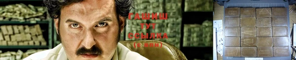 альфа пвп Гусев