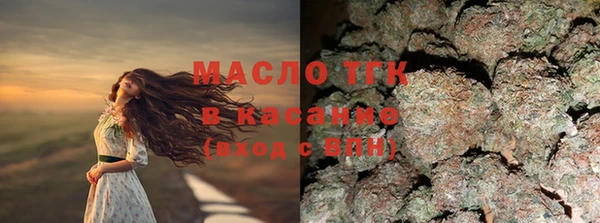 твердый Тайга