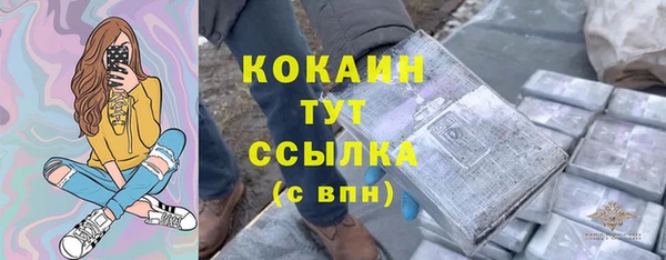 твердый Тайга