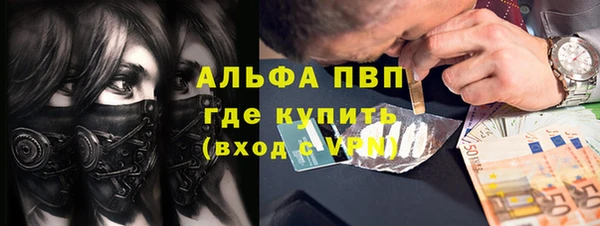 твердый Гусь-Хрустальный