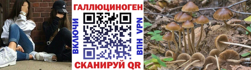 Галлюциногенные грибы прущие грибы Красноярск